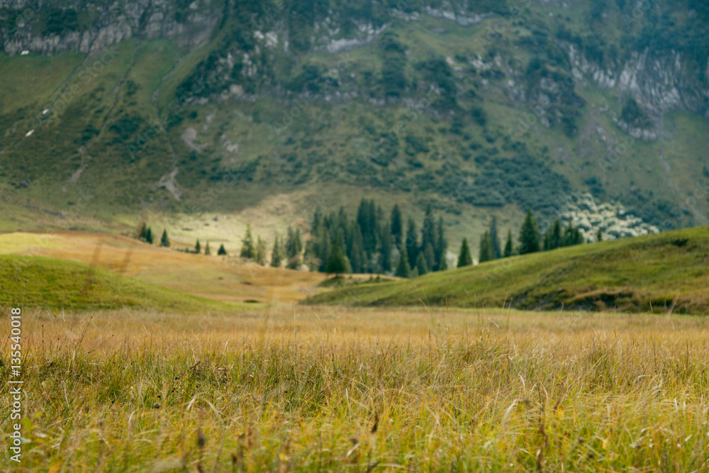 Fototapeta premium Beautiful Landscape In The Alps