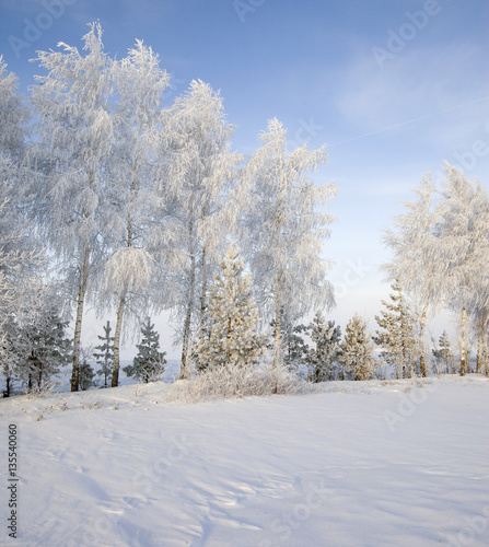 Walk through the beautiful winter scene in Russia © salman2