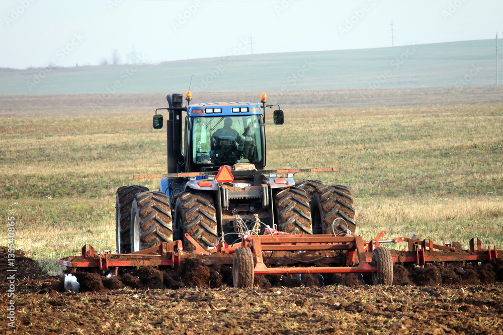 Fototapeta premium cultivation