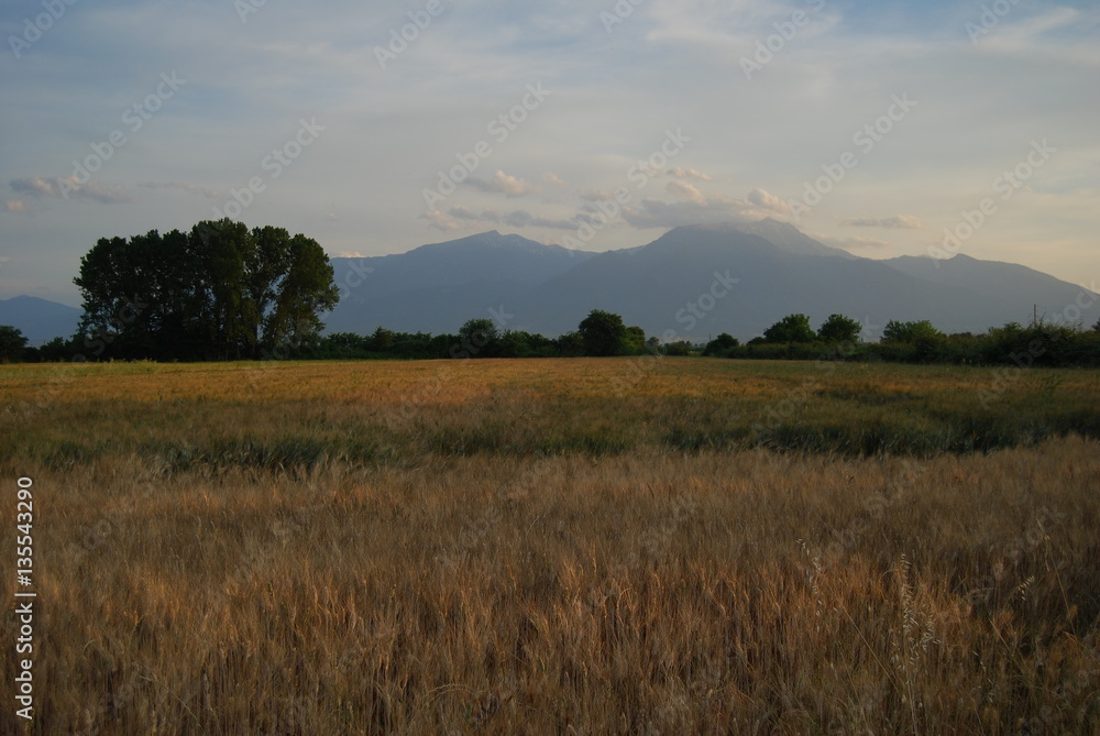 Grecja, Katerini, Wzgorza Olimpu. Grecja, Katerini, Wzgorza Olimpu.