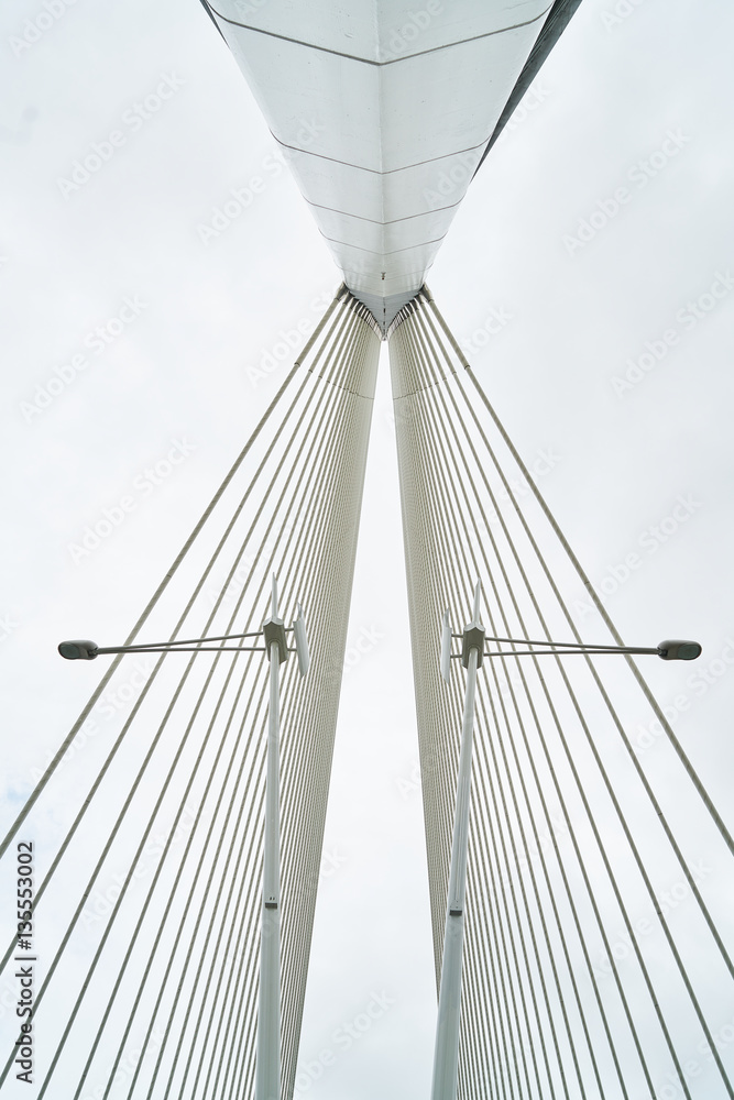 Obraz premium Futuristic Bridge