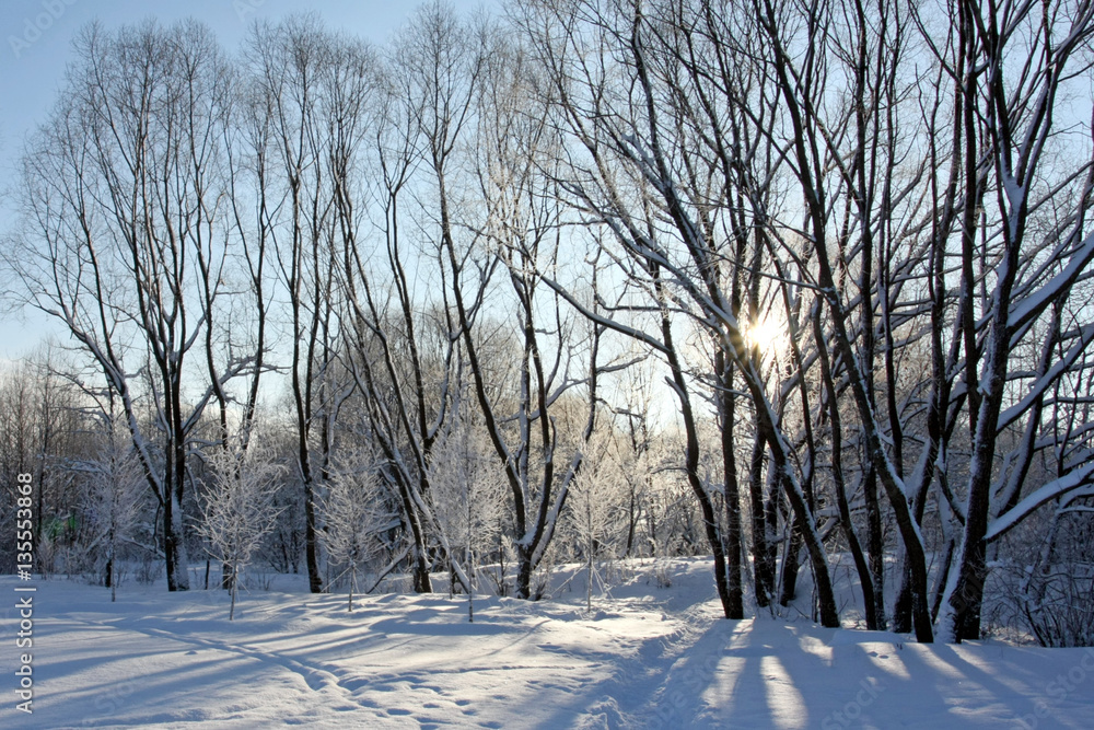 Snowy winter landscape Snowy winter landscape