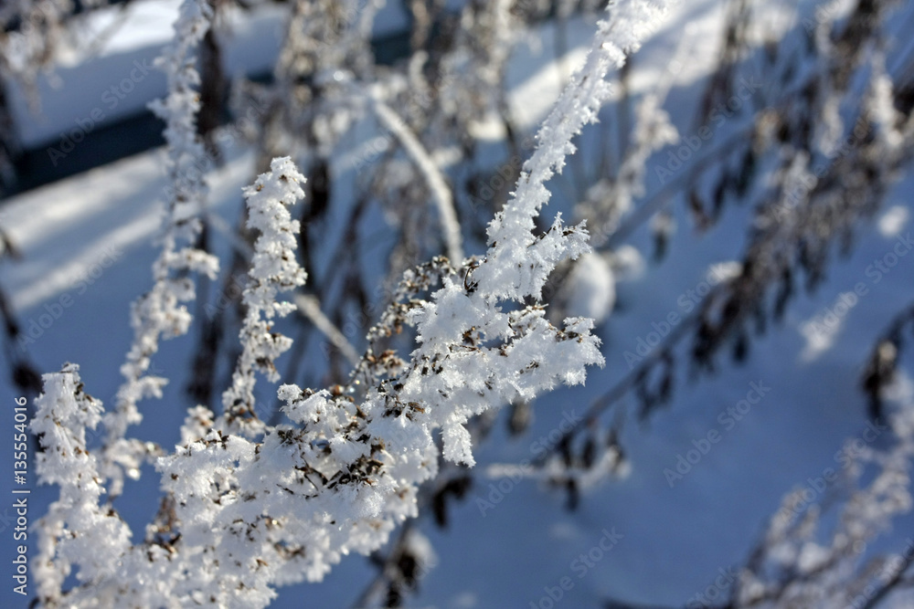 Snowy winter landscape