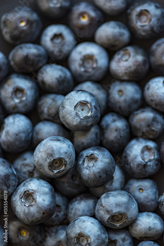 Berry  Blueberry background  High resolution picture.