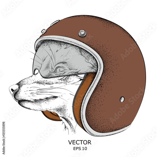 Fox in a motorcycle helmet. Vector illustration