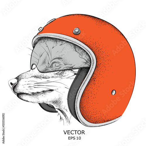 Fox in a motorcycle helmet. Vector illustration