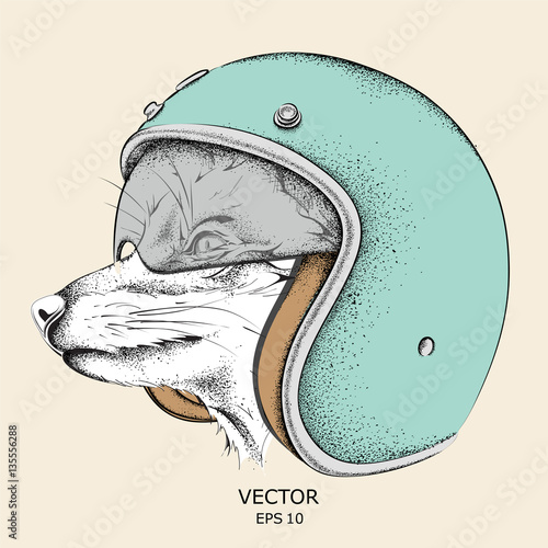 Fox in a motorcycle helmet. Vector illustration