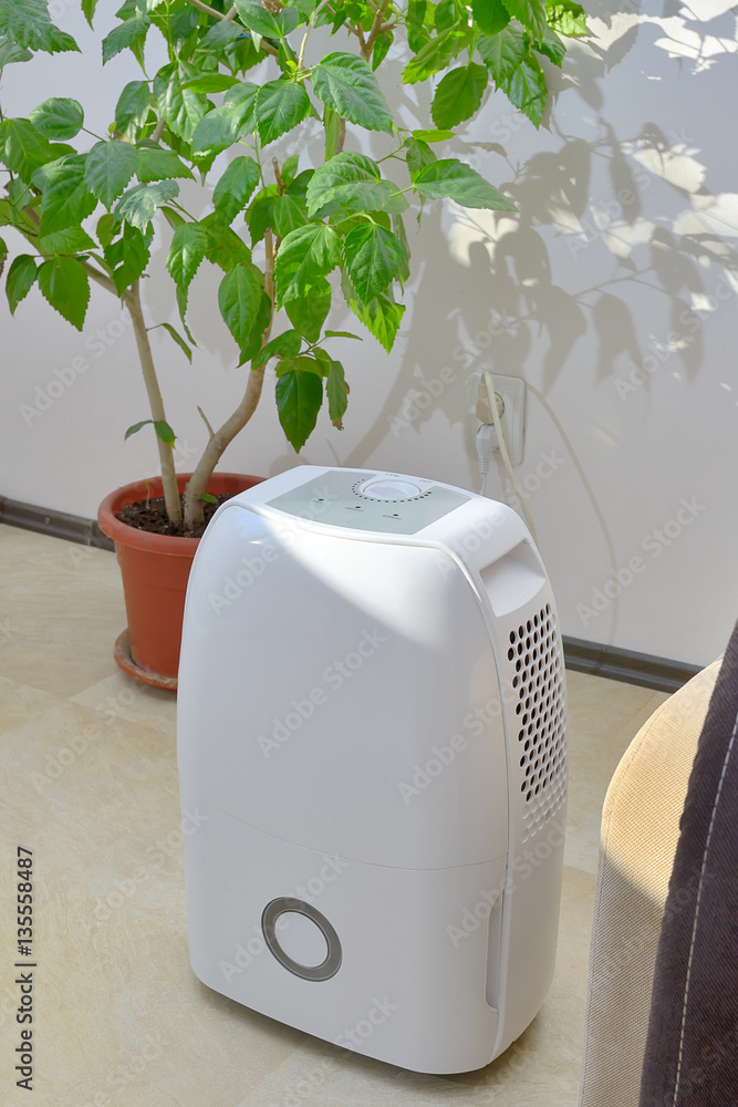 Portable dehumidifier colect water from air Portable dehumidifier colect water from air