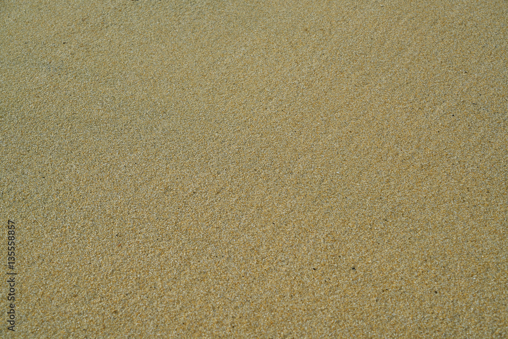 Sand Texture Sand Texture
