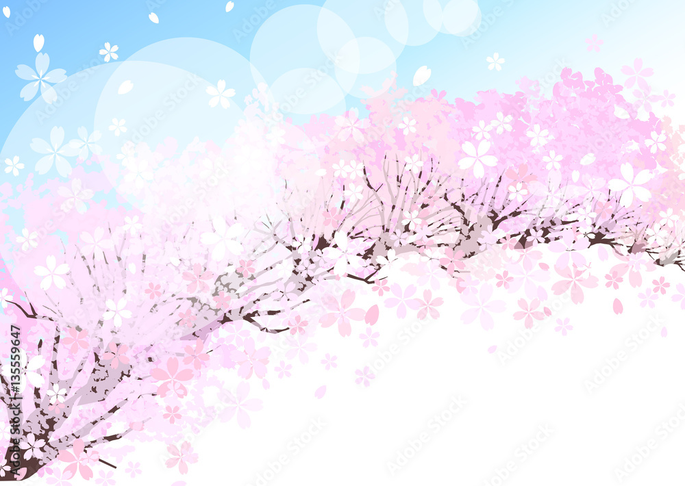 桜 背景 桜 背景