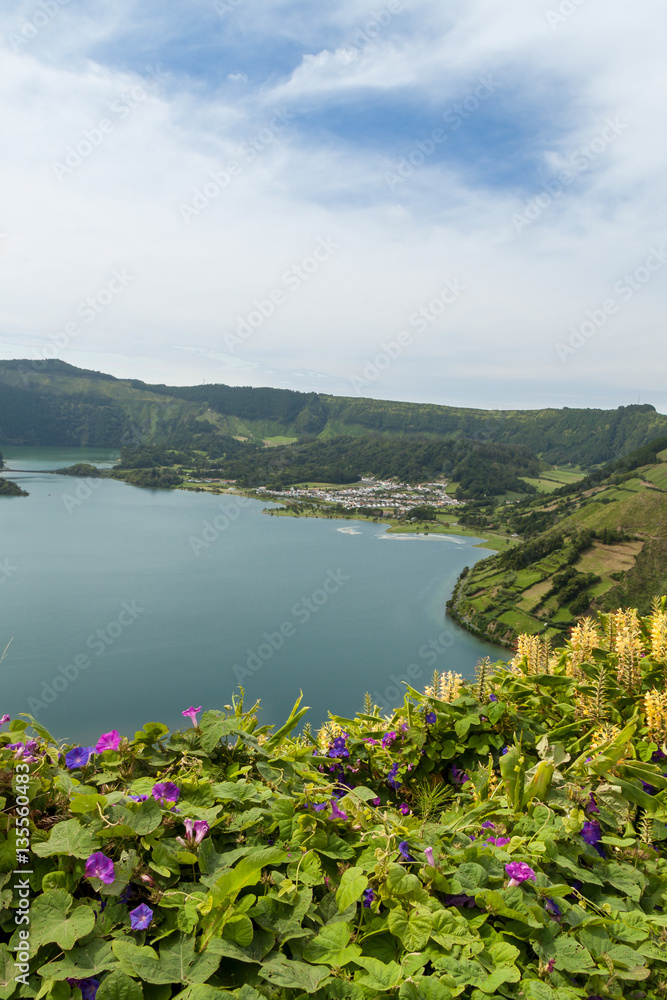 Fototapeta premium Flowers inf Front of Lagoa Verde, Sao Miguel, Azores, Portugal, Europe