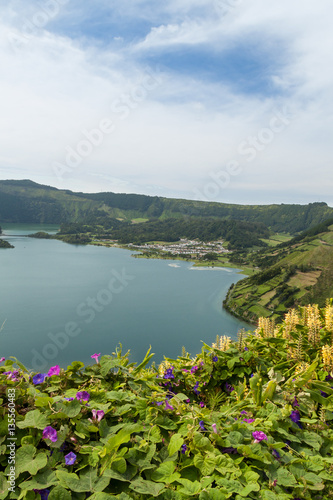Flowers inf Front of Lagoa Verde, Sao Miguel, Azores, Portugal, Europe