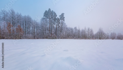 Winter foggy landscape in polish countryside © milosz_g