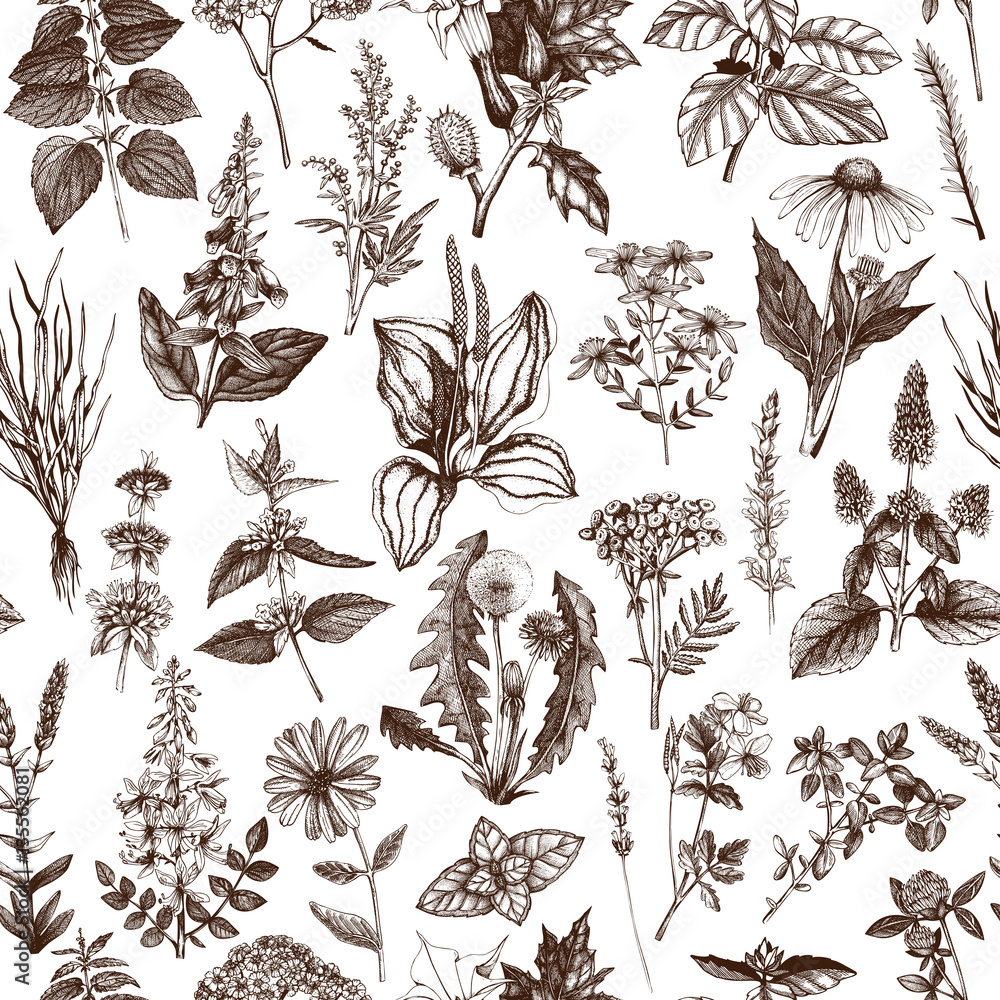 Vector background with hand drawn weeds and herbs. seamless pattern ...