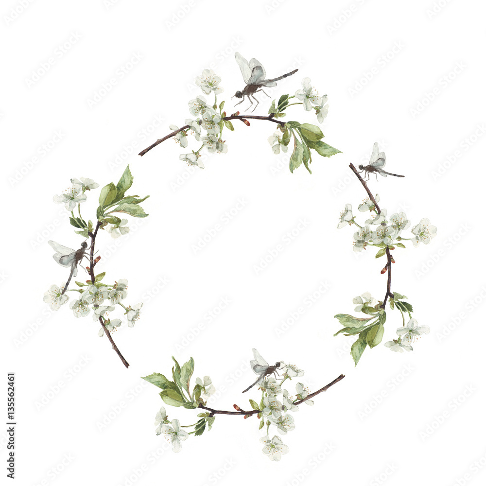 Watercolor frame of cherry tree branches with white flowers and dragonflies isolated on white background. wedding wreath. Spring. Watercolor frame of cherry tree branches with white flowers and dragonflies isolated on white background. wedding wreath. Spring.