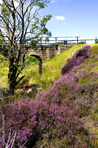 Obraz na plátně Hamer Bridge
Hamer Moor is high on the North York Moors between Rosedale  and E