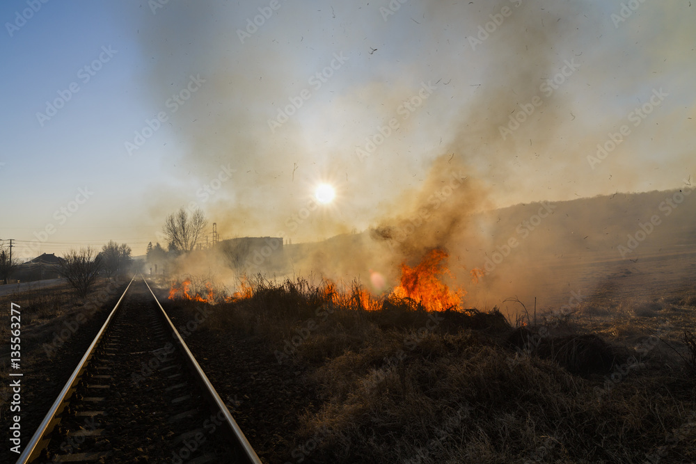 Fototapeta premium Vegetation fire under the hot sun