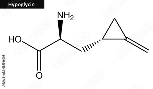 Molecular structure of hypoglycin photo