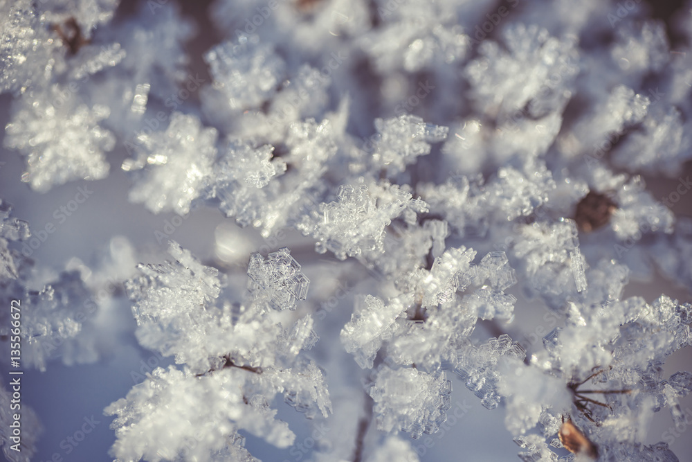 winter frozen background in nature, freezing crystals on grass, macro photography winter frozen background in nature, freezing crystals on grass, macro photography