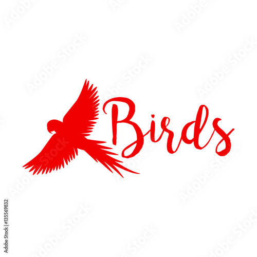 Red logo design with flying eagle bird silhouette, isolated on white. Vector illustration
