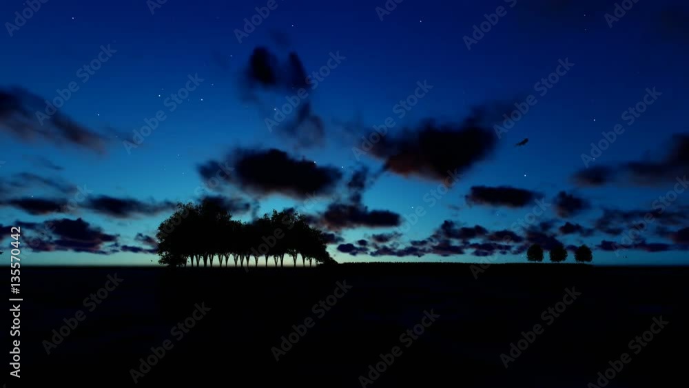Guitar Trees over Ocean, Timelapse Sunrise with birds flying Guitar Trees over Ocean, Timelapse Sunrise with birds flying