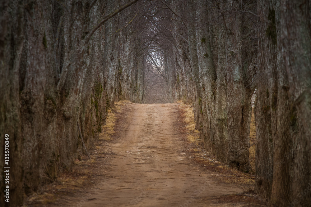 A beautiful norther Europe landscape in an early spring A beautiful norther Europe landscape in an early spring
