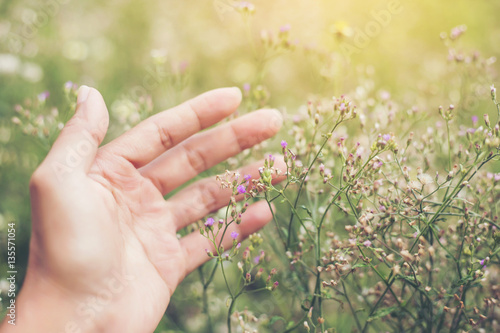 Beautiful flower on woman hand against background leaves