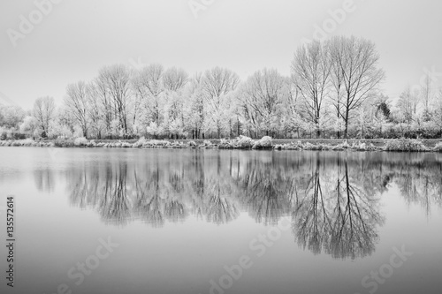 Frozen Nature By River Elbe-Celakovice, Czech Rep.