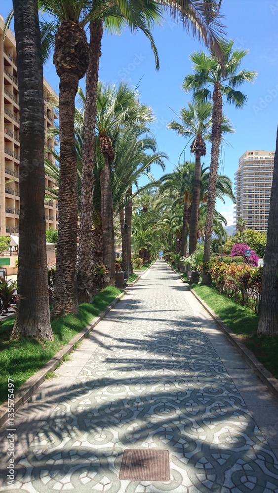 Boardwalk Tenerife Boardwalk Tenerife
