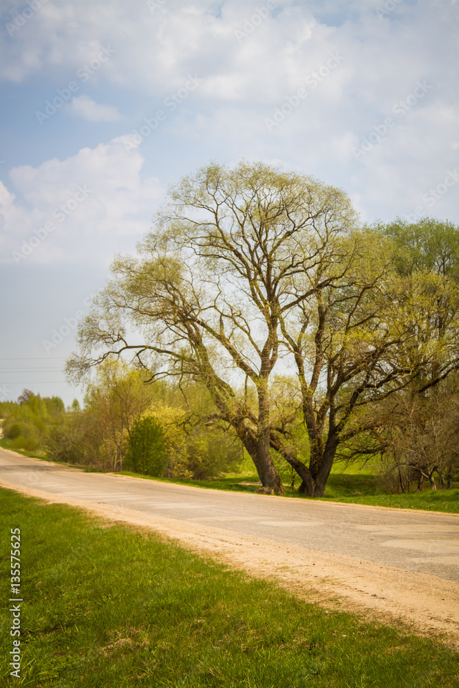 A beautiful norther Europe landscape with a road in late spring A beautiful norther Europe landscape with a road in late spring