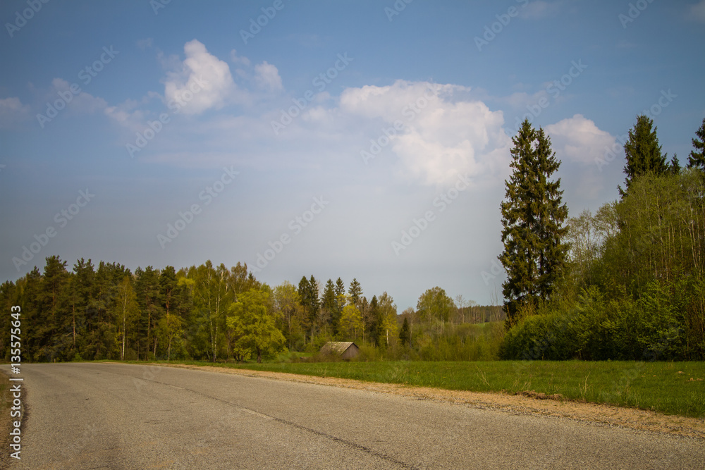 Fototapeta premium A beautiful norther Europe landscape with a road in late spring