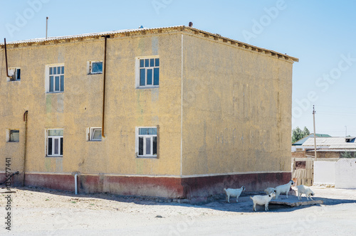 Wallpaper Mural Street in Muynak (Moynaq), Uzbekistan  Torontodigital.ca