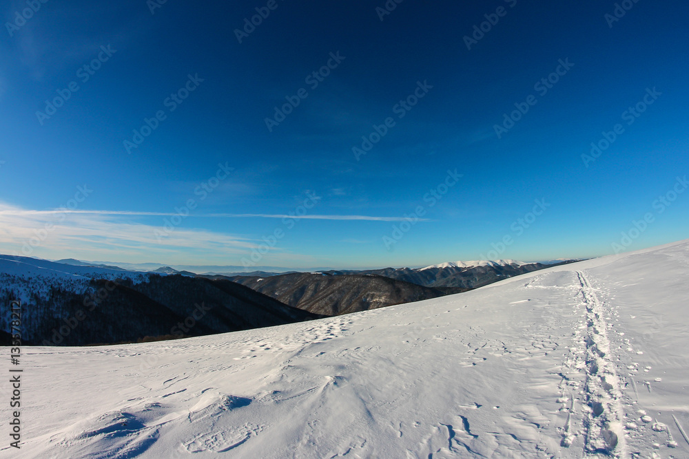 Winter in the Carpathians 