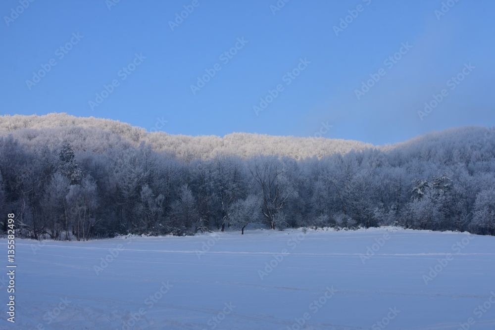 scenery of snow covered landscapes scenery of snow covered landscapes