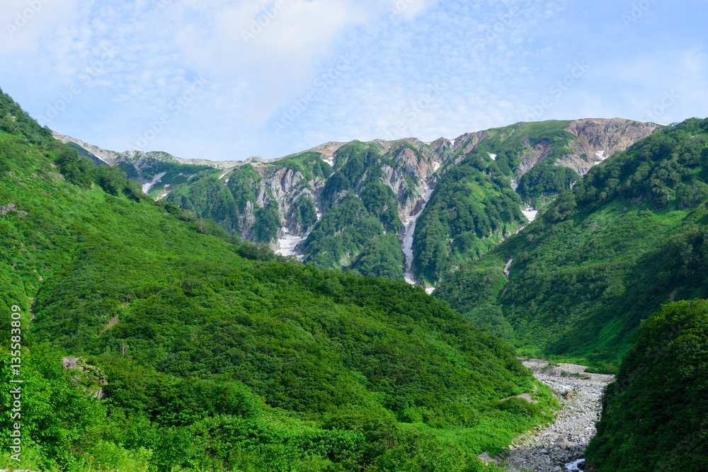 Naklejka premium 長野 北アルプス 白馬岳