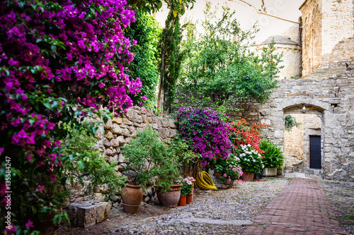 Fototapeta Naklejka Na Ścianę i Meble -  The yard with many flowers in the ancient town of Ventimiglia. Italy.