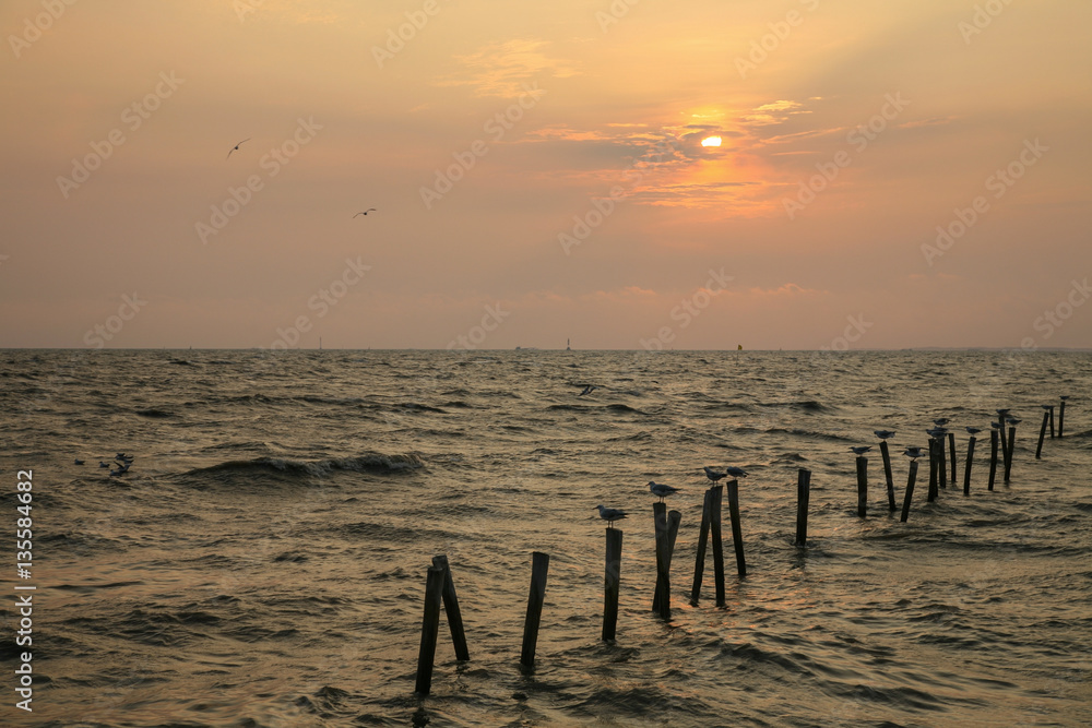 seascape view of sunset time at Bangpu recreation center in Thailand. seascape view of sunset time at Bangpu recreation center in Thailand.