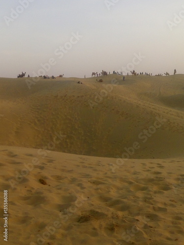 sand dune beauty