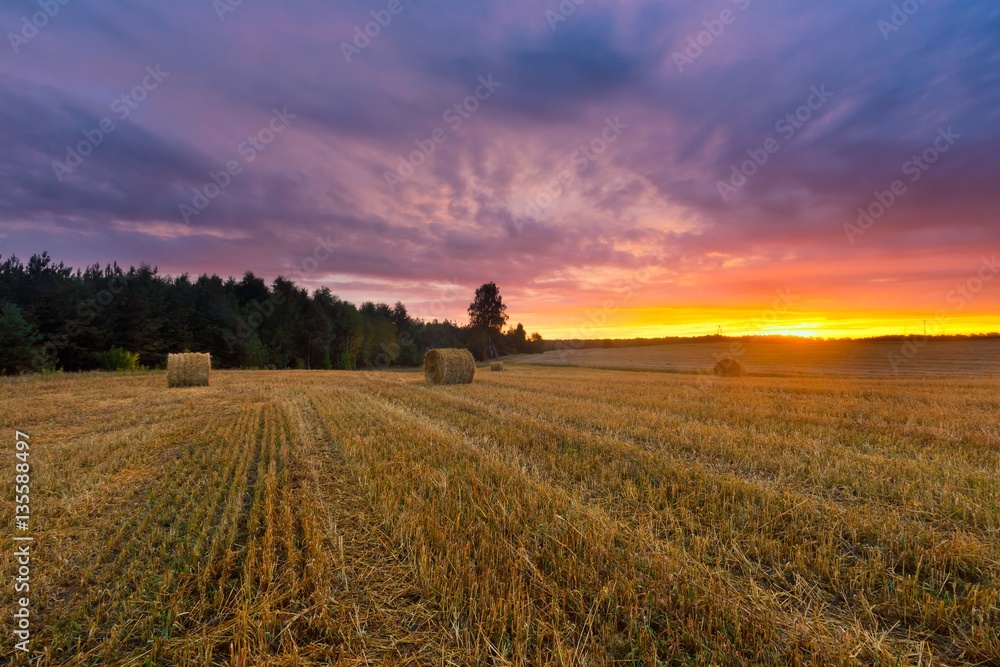 Fototapeta premium Beautiful sunset sky over stubble field and straw bales