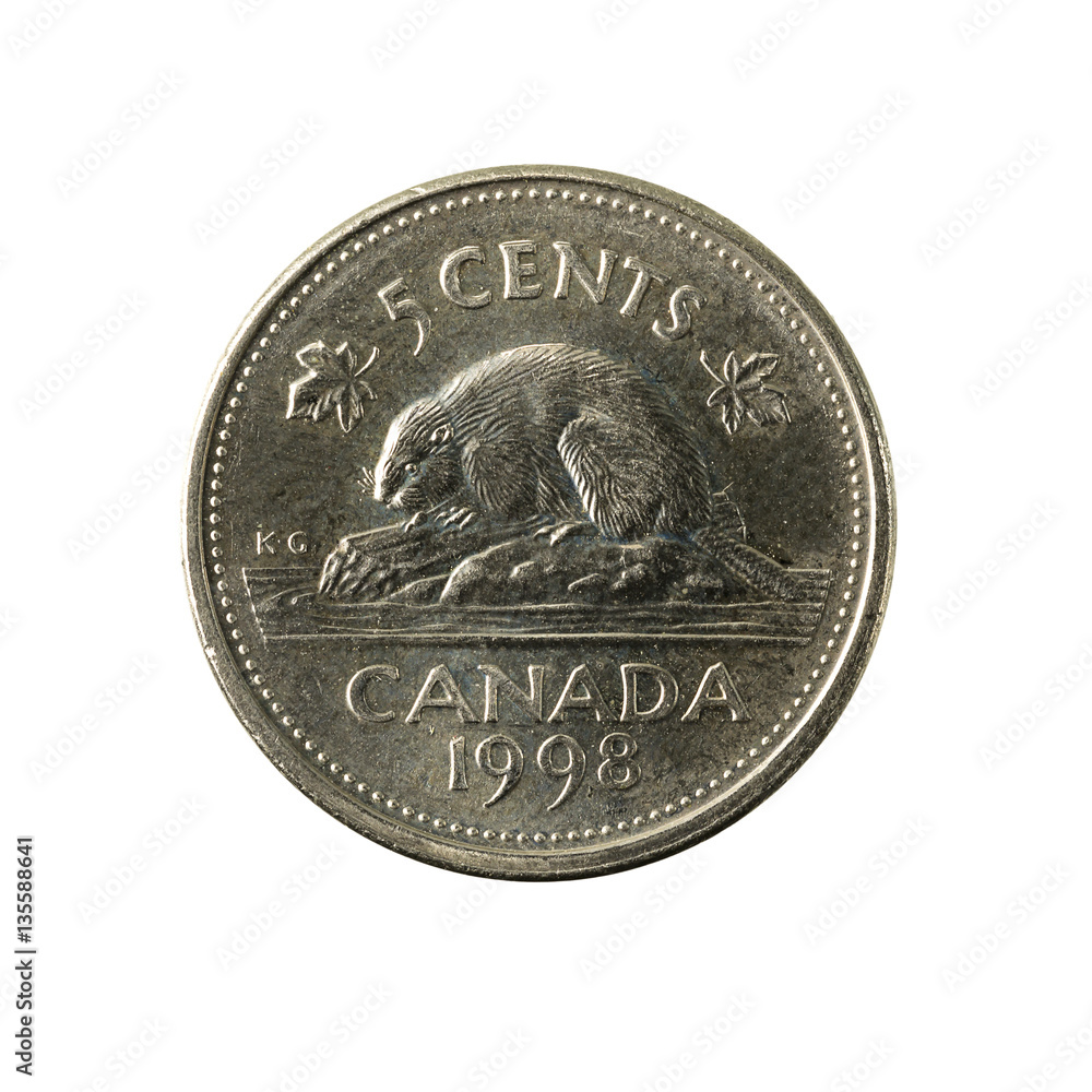 5 canadian cent coin (1998) obverse isolated on white background 5 canadian cent coin (1998) obverse isolated on white background