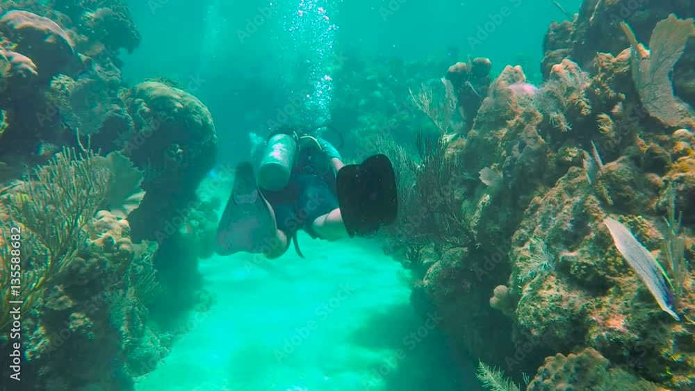 Swimming through a tunnel while diving in Utila Swimming through a tunnel while diving in Utila