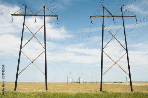 Electricity pylons in field  photo