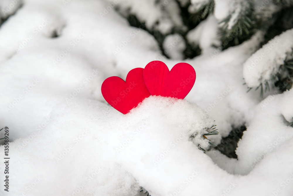 Fototapeta premium Two red hearts lie on the snow-covered fir branches 