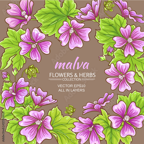 malva vector frame