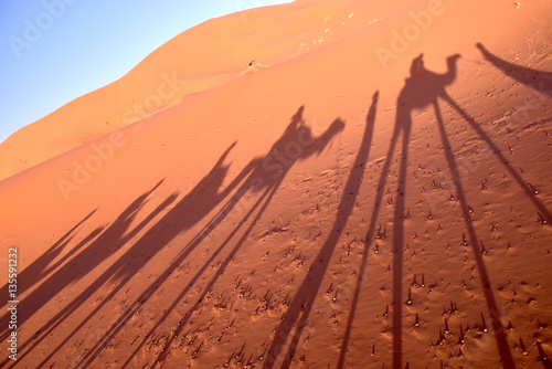 Desert Sahara, Morocco