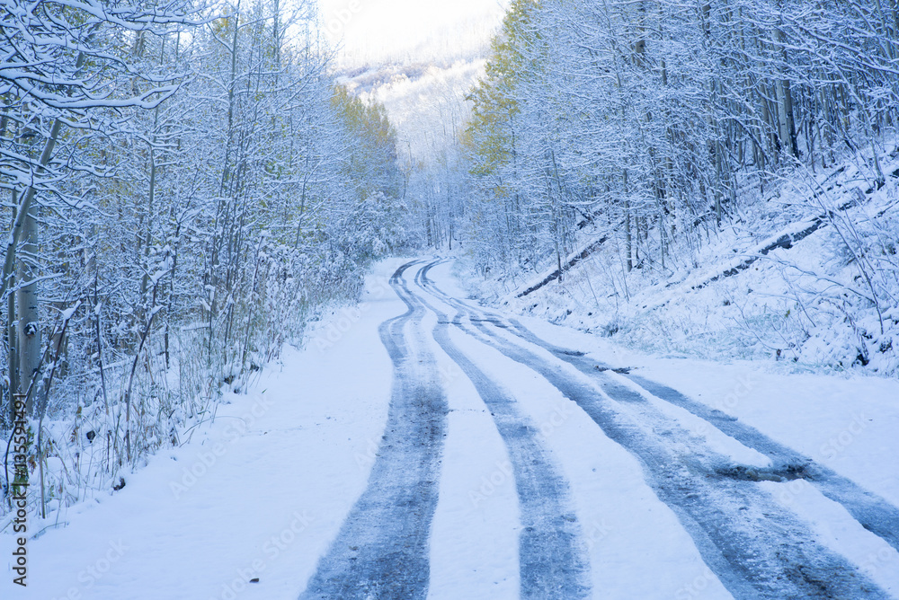 Obraz premium snow road