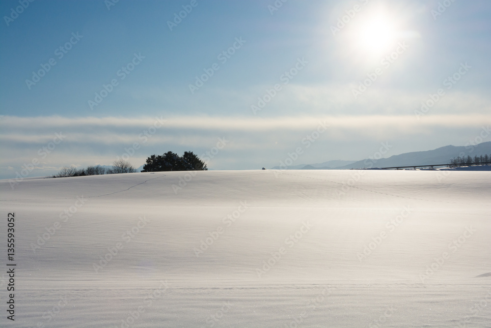 光る雪原 光る雪原