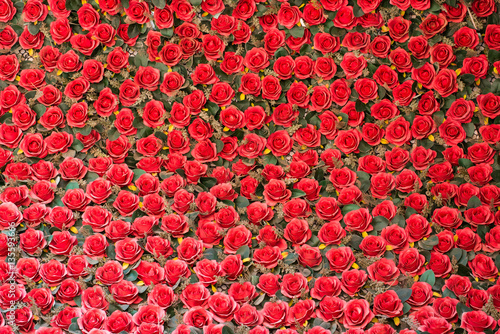 Red roses wallpaper