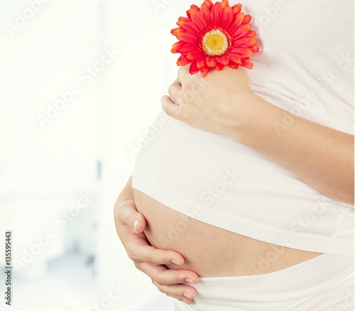 Human pregnancy.