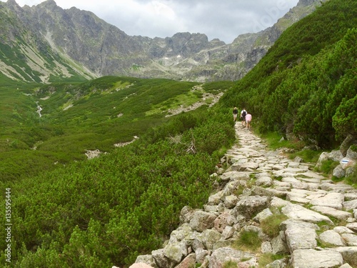 Górski kamienisty szlak w Tatrach